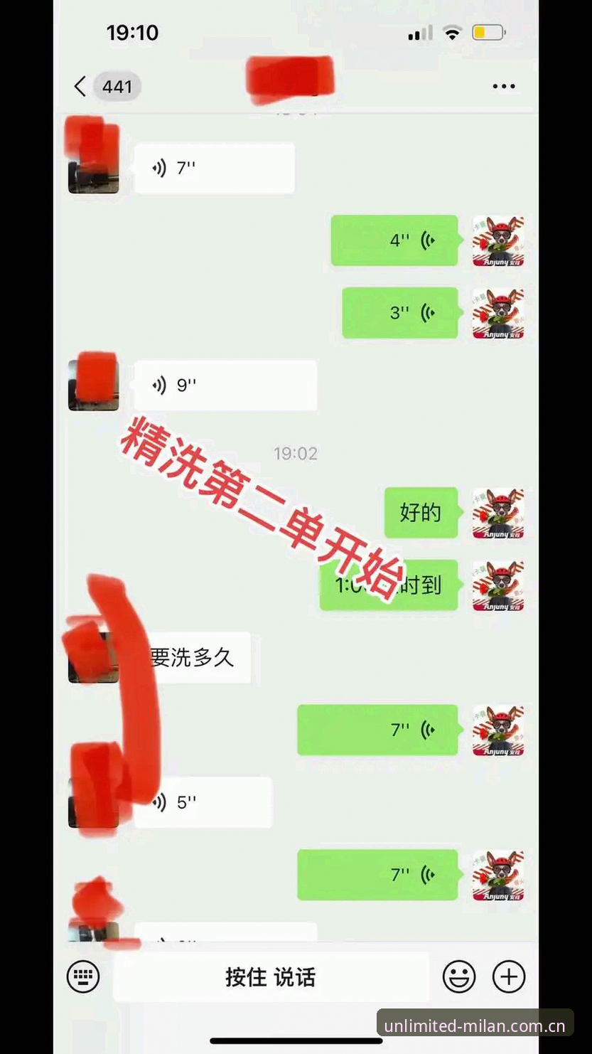 米兰体育官方App评测 深度揭秘:米兰体育官方App评测背后的极致体验真相